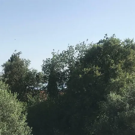 Vila Milka Daire