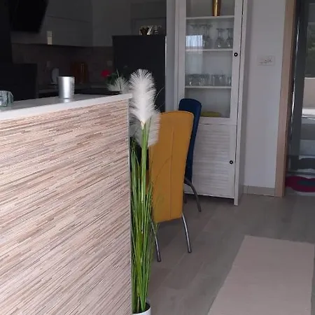 Apartment Vila Milka *